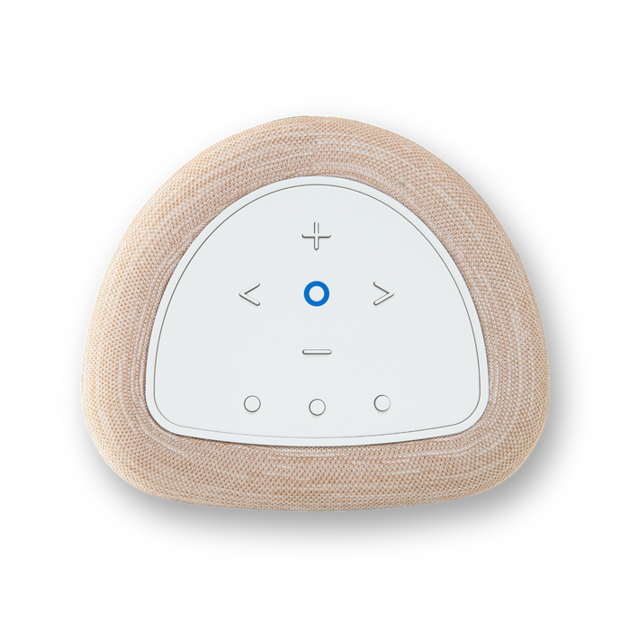 PULSE FLEX - Enceinte sans fil tout-en-un pour la diffusion de musique en continu 